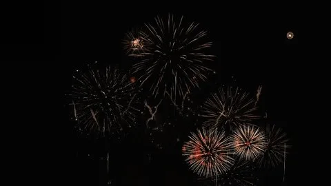 51动漫节日庆典视频素材分类