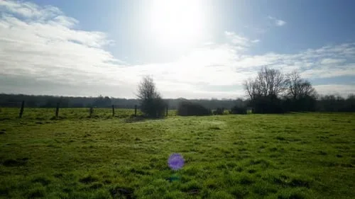 51动漫自然风光视频素材分类